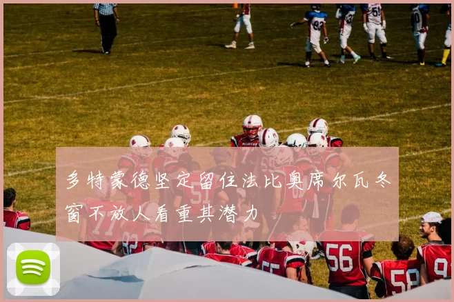 多特蒙德坚定留住法比奥席尔瓦冬窗不放人看重其潜力